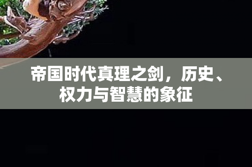 帝国时代真理之剑图片