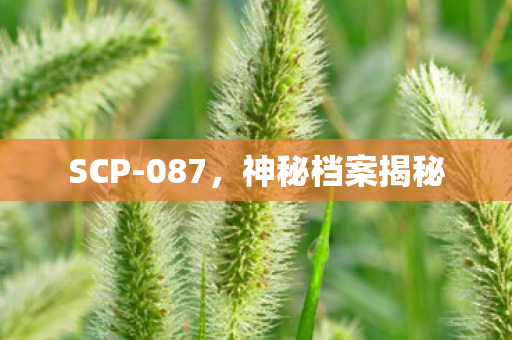 神秘档案揭秘图片