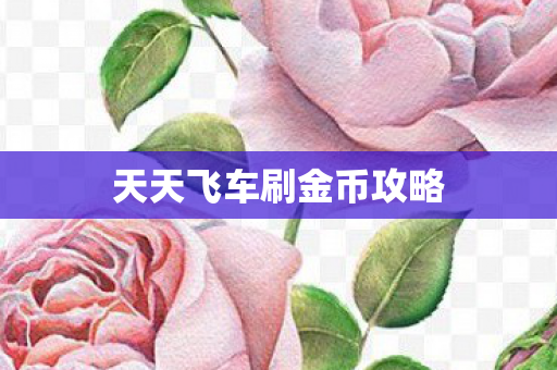 天天飞车刷金币攻略图片