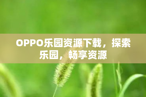 OPPO乐园资源下载图片