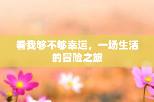一场生活的冒险之旅图片