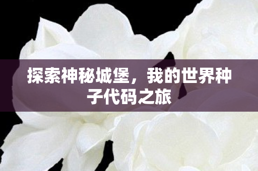 我的世界种子代码之旅图片