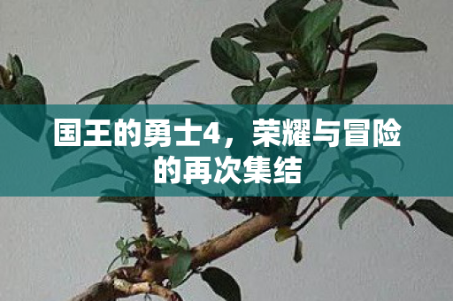 荣耀与冒险的再次集结图片