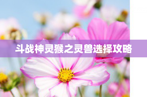 斗战神灵猴之灵兽选择攻略图片