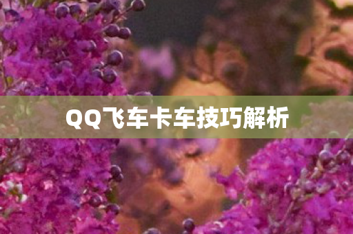 QQ飞车卡车技巧解析图片
