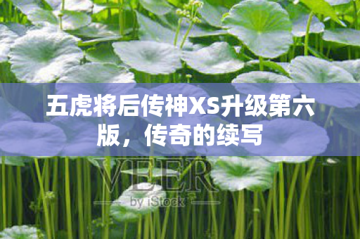 五虎将后传神XS升级第六版图片