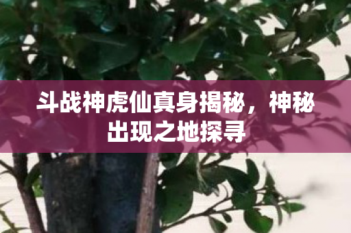 斗战神虎仙真身揭秘图片