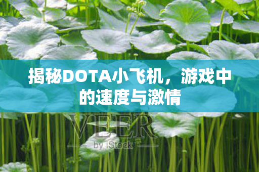 揭秘DOTA小飞机图片