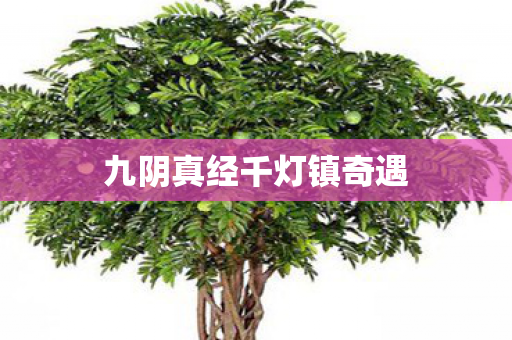 九阴真经千灯镇奇遇图片