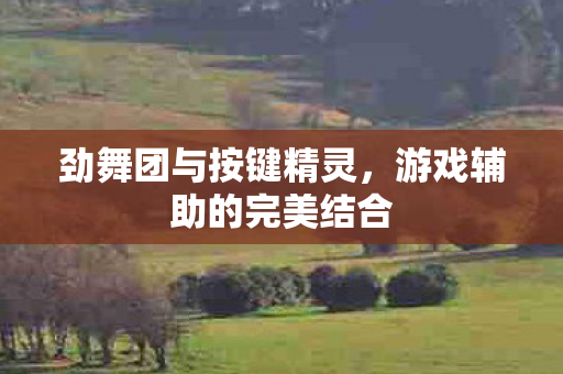 游戏辅助的完美结合图片
