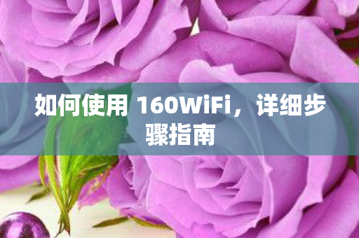 如何使用 160WiFi图片