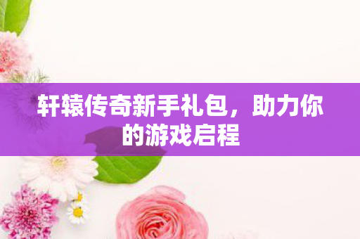 轩辕传奇新手礼包图片