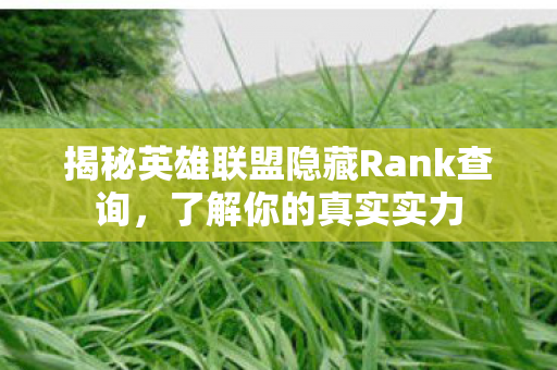 揭秘英雄联盟隐藏Rank查询图片
