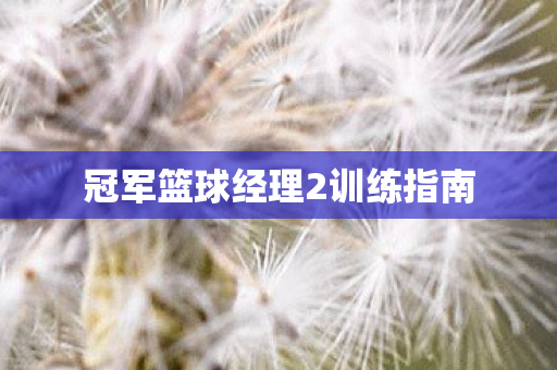 冠军篮球经理2训练指南图片