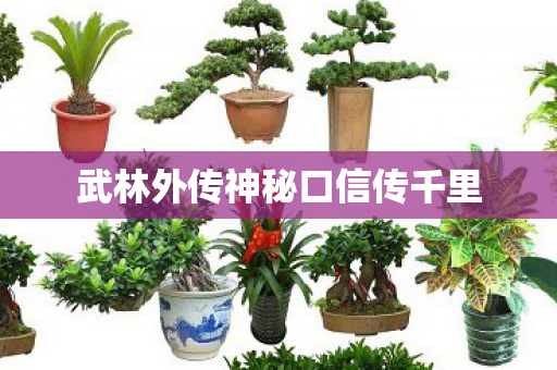 武林外传神秘口信传千里图片