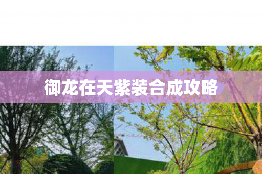 御龙在天紫装合成攻略图片
