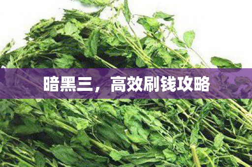 高效刷钱攻略图片