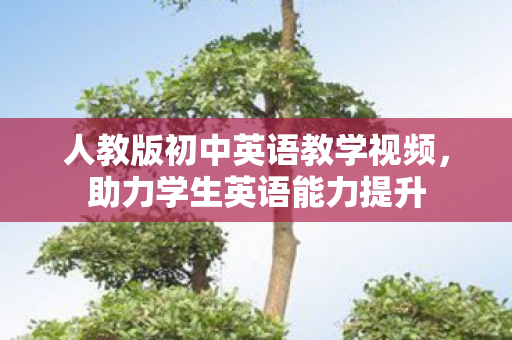 人教版初中英语教学视频图片