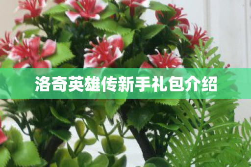洛奇英雄传新手礼包介绍图片