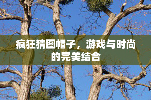 游戏与时尚的完美结合图片