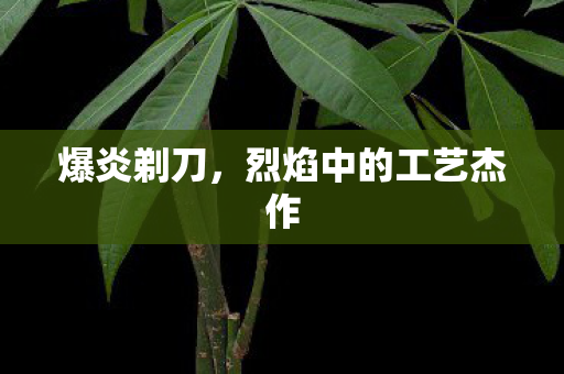 烈焰中的工艺杰作图片