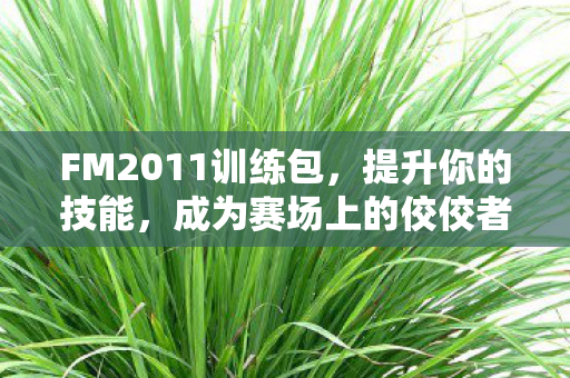 FM2011训练包图片