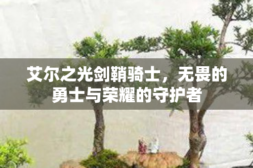 无畏的勇士与荣耀的守护者图片