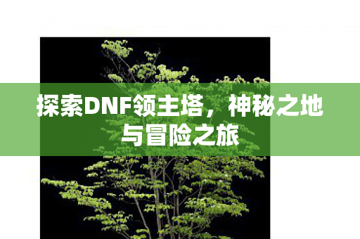 神秘之地与冒险之旅图片