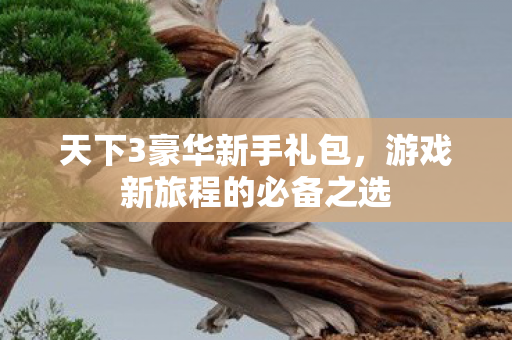 游戏新旅程的必备之选图片