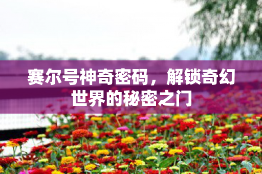解锁奇幻世界的秘密之门图片
