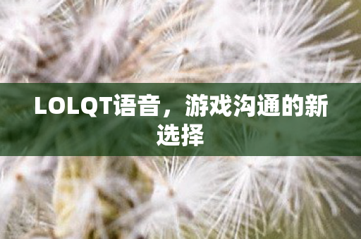 游戏沟通的新选择图片