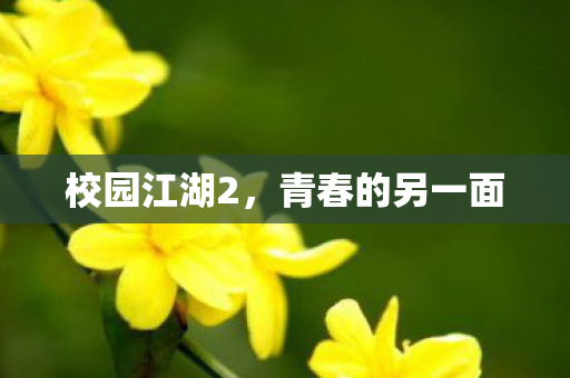 青春的另一面图片