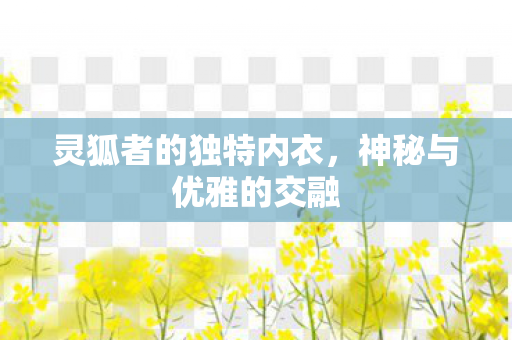 灵狐者的独特内衣图片