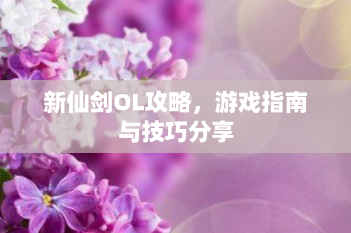 游戏指南与技巧分享图片