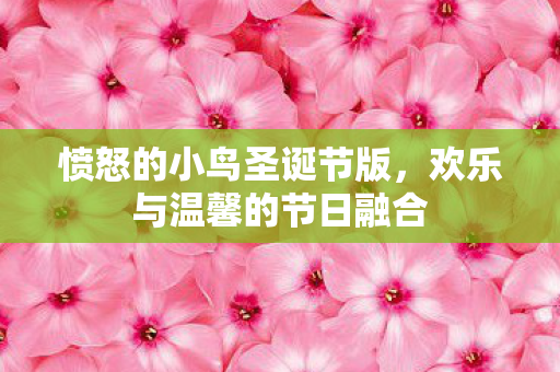 欢乐与温馨的节日融合图片