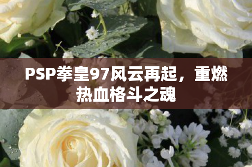 PSP拳皇97风云再起图片