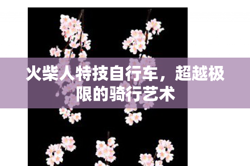 超越极限的骑行艺术图片