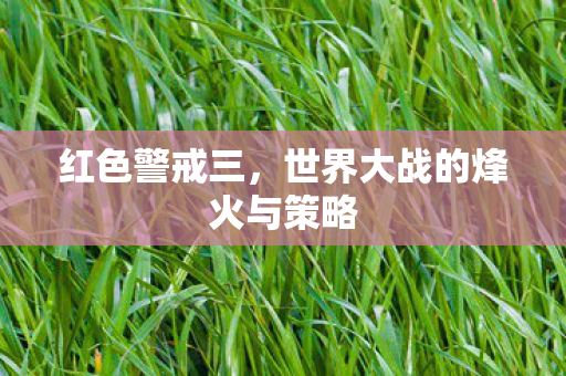 世界大战的烽火与策略图片