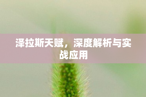 深度解析与实战应用图片