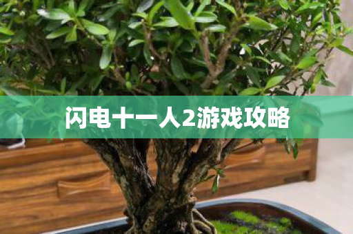 闪电十一人2游戏攻略图片