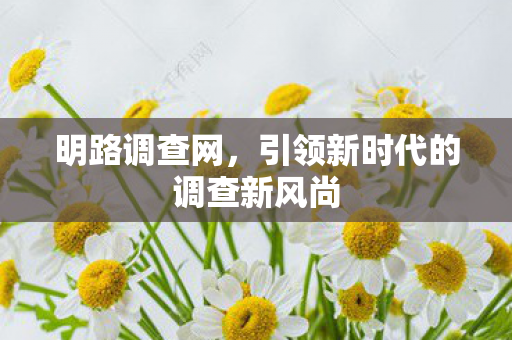 引领新时代的调查新风尚图片