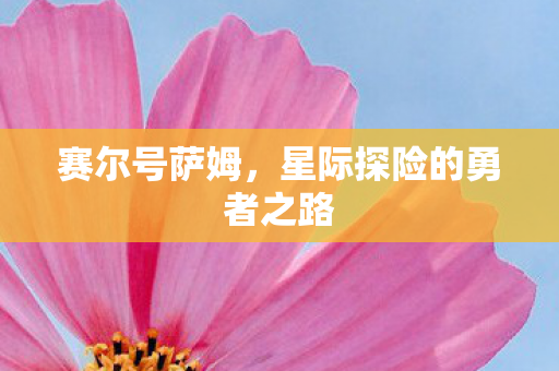 星际探险的勇者之路图片