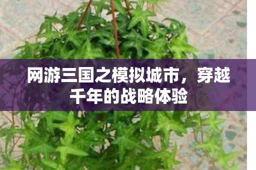 网游三国之模拟城市图片