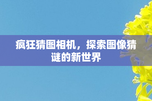 探索图像猜谜的新世界图片