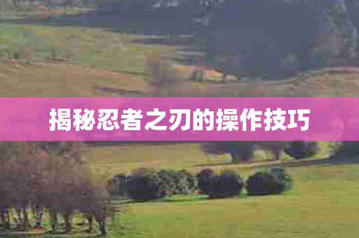 揭秘忍者之刃的操作技巧图片
