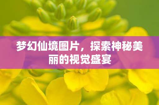探索神秘美丽的视觉盛宴图片