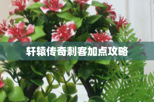 轩辕传奇刺客加点攻略图片
