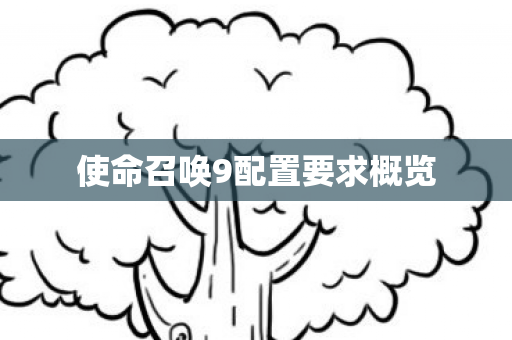 使命召唤9配置要求概览图片