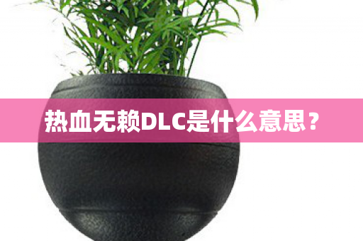 热血无赖DLC是什么意思图片