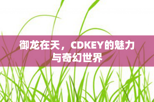 CDKEY的魅力与奇幻世界图片
